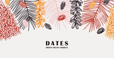 Sketched background with date palm leaves and dried fruit illustrations. Healthy food ingredients sketches in engraved style. Hand drawn oriental sweets vector border. Vintage ripe dates design